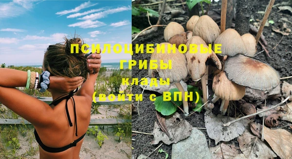 прущая мука Горняк